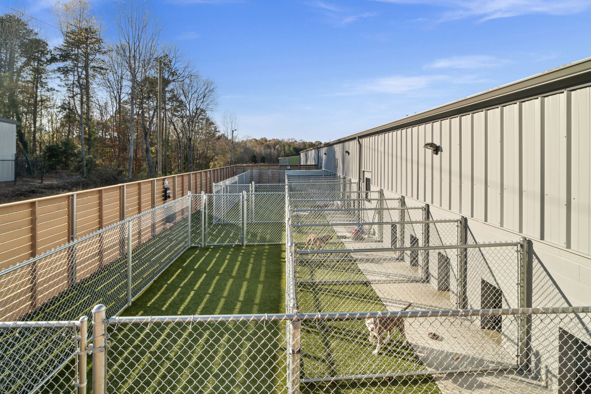 Lake Norman Humane Outdoor Dog Runs